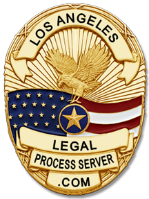 legal process server